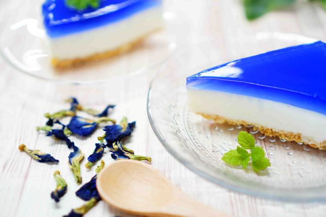 バタフライピーと青いチーズケーキの写真