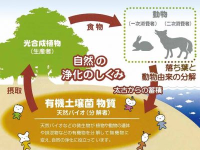 自然の浄化の仕組みに関する図です